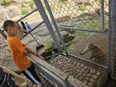 -西霞口神雕山野生动物世界