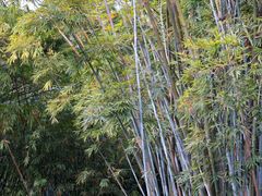 -晓港公园