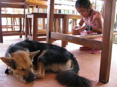 外景-Ban Raya酒店