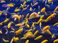 -多彩贵州城极地海洋世界