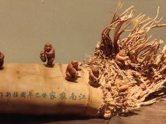 -杭州工艺美术博物馆