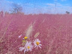 -汉长安城未央宫国家考古遗址公园