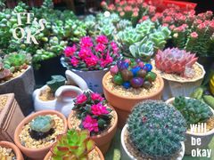 -江南西(地铁站)