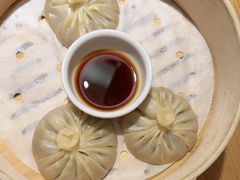 -庆春朴门