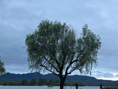 -杭州西湖柳莺里酒店·闻莺厅