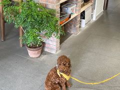 -花仓咖啡(祥安巷店)
