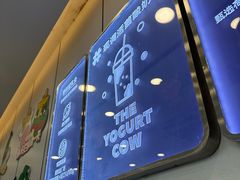 -一只酸奶牛(洪崖洞11楼店)