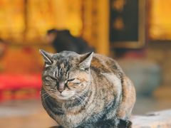 -龙华寺