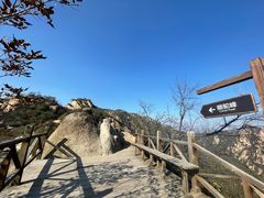 -大岭沟猕猴桃谷风景区