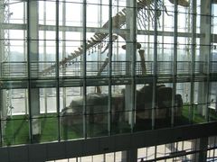 -吉林省自然博物馆