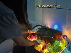 -永夜方舟·捉迷藏·二次元密室