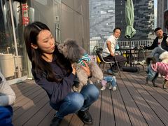 -百好乐宠物友好餐厅(朝外大街店)