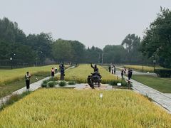 -北坞公园