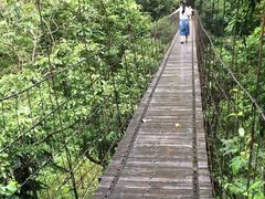 -太鲁阁公园