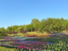 -沈阳植物园