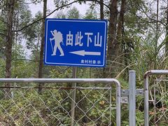 -黄埔油麻山森林公园