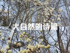 -郑州植物园