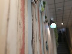 -东北饭店·饺饺者( 学府壹号店)