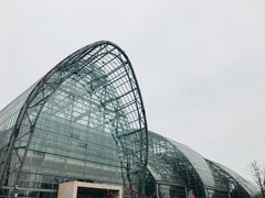 -南山植物园