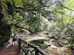 -碧峰峡风景区
