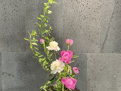 -帝京日语(春熙路旗舰校区)