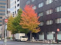 -北海道厅旧本厅舍(旧本庁舎)