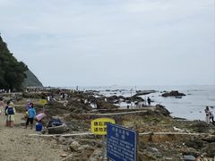 -西涌国际滨海旅游区