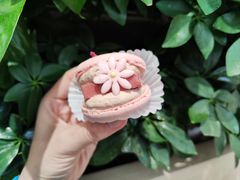 -好利来(紫竹院店)