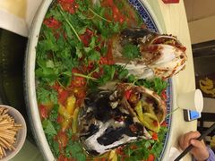 湘潭九龙鱼头店(城南西路天心阁店)-湘潭九龙鱼头店(城南西路店)