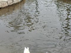 -横道河子东北虎林园