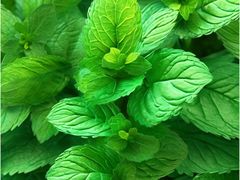 -MOSSO音乐酒吧·Live House(南京西路店)