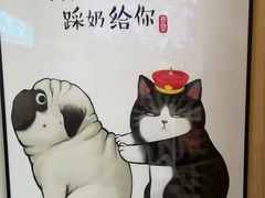 -康爱犬猫诊所·牙专科·骨外科·影像内科(丰宁店)
