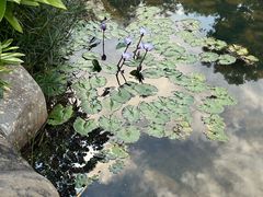 -云溪植物园