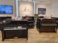-柏斯琴行(汾阳店)