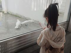 -成都动物园