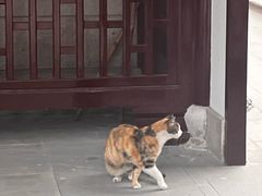 -高旻寺