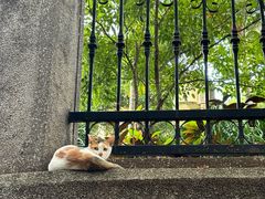 -猫岛主趣味餐厅(鼓浪屿店)