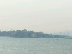 -演武大桥观景平台