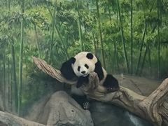 -武汉动物园