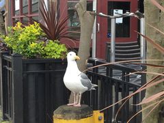 -固兰湖岛