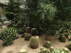 -长春农业博览园