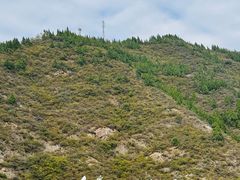 -白帝城·瞿塘峡景区