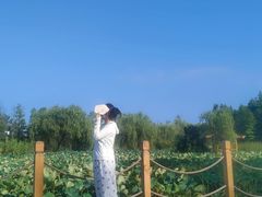 -日照海滨国家森林公园
