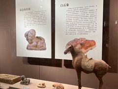 -西安大唐西市博物馆