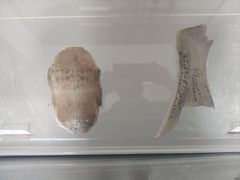 -洛阳周公庙博物馆