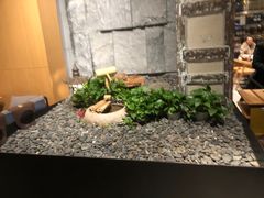 -锦城印象火锅(天府三街店)