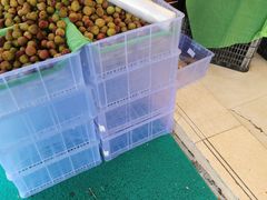 -PAGODA百果园(台柳路凯德广场店)