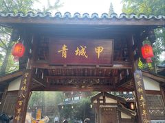 -青城甲(青城山店)