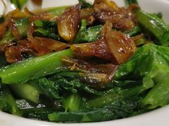 -百利鸽王(紫薇路店)