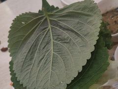 -玫瑰花园自助烤肉(金源店)